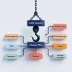  - marketpro-v5-cotonti.webp